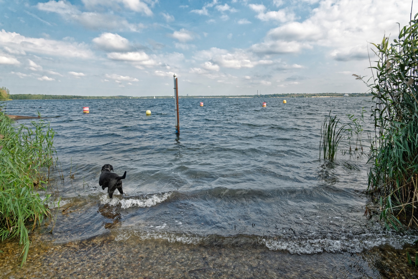 Line ja Cospudener-järvi, Leipzig 2016