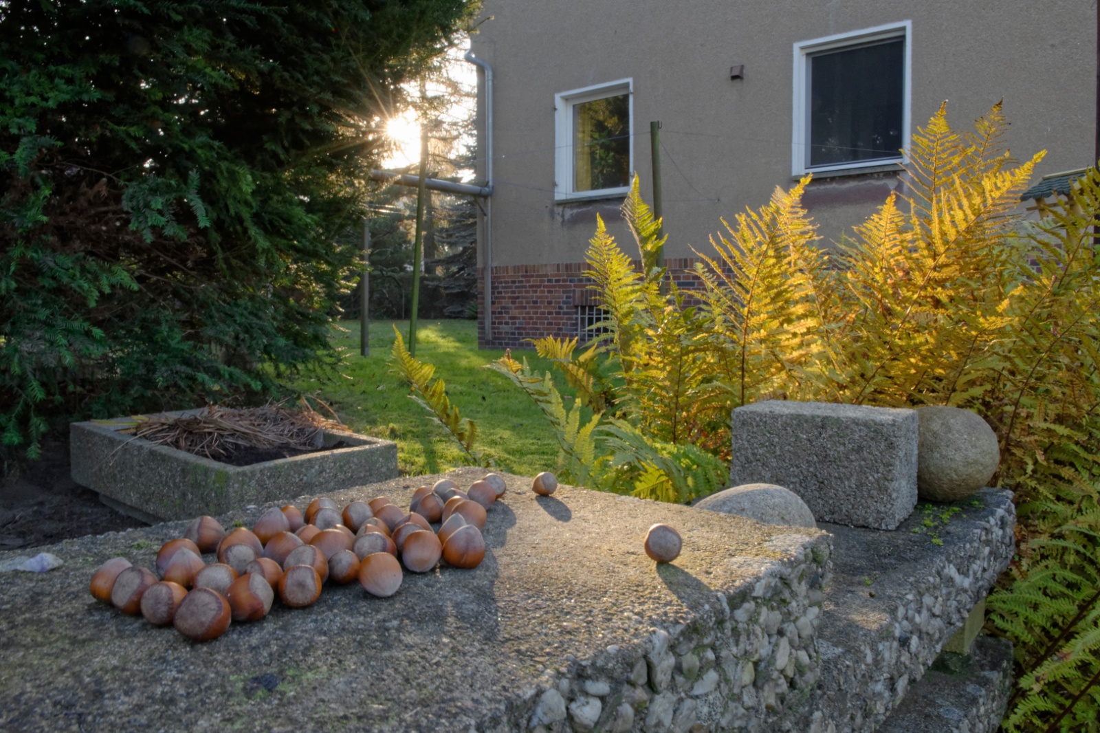 Hans-Diether Herrmannin piha, Leipzig 2016